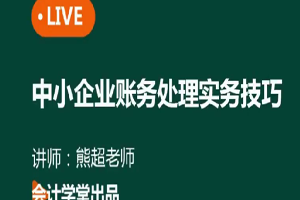 会计财务实操之中小企业账务处理实务技巧（49讲全）