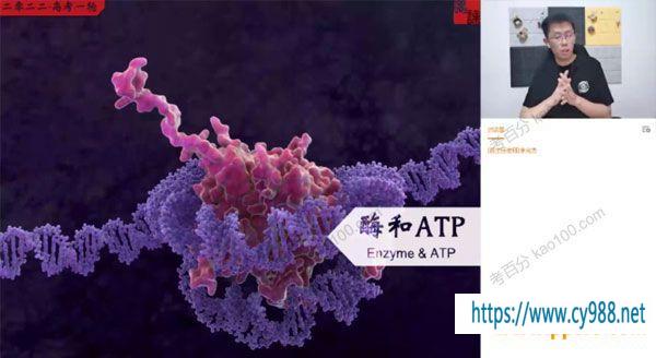 课堂教学-张鹏 高三生物2021年暑假S班（2022高考）